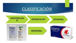 ANFOTERICINA
B:
DESOXICOLATO LIPOSOMAL
NISTATINA:
 