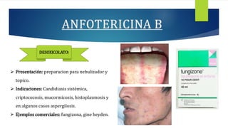  Presentación: preparacion para nebulizador y
topico.
 Indicaciones: Candidiasis sistémica,
criptococosis, mucormicosis, histoplasmosis y
en algunos casos aspergilosis.
 Ejemplos comerciales: fungizona, gine heyden.
DESOXICOLATO:
 