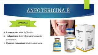  Presentación: polvo liofilizado.
 Indicaciones: Aspergilosis, criptococosis,
candidiasis.
 Ejemplos comerciales: abelcet, ambisome.
LIPOSOMAL:
 