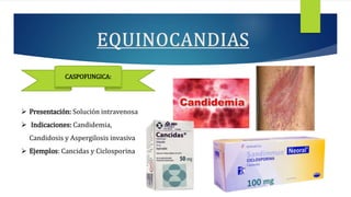  Presentación: Solución intravenosa
 Indicaciones: Candidemia,
Candidosis y Aspergilosis invasiva
 Ejemplos: Cancidas y Ciclosporina
CASPOFUNGICA:
 