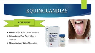  Presentación: Solución intravenosa
 Indicaciones: Para Aspergillus y
Candida
 Ejemplos comerciales: Mycamine
MICAFUNGICAS:
 
