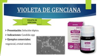 VIOLETA DE GENCIANA
VIOLETA DE
GENCIANA:
Presentación: Solución tópica.
Indicaciones: Candida spp
Ejemplos comerciales:
vegencial, cristal violeta
 