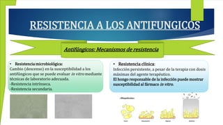 RESISTENCIA A LOS ANTIFUNGICOS
• Resistencia microbiológica:
Cambio (descenso) en la susceptibilidad a los
antifúngicos que se puede evaluar in vitro mediante
técnicas de laboratorio adecuada.
-Resistencia intrínseca.
-Resistencia secundaria.
• Resistencia clínica:
Infección persistente, a pesar de la terapia con dosis
máximas del agente terapéutico.
El hongo responsable de la infección puede mostrar
susceptibilidad al fármaco in vitro.
Antifúngicos: Mecanismos de resistencia
 