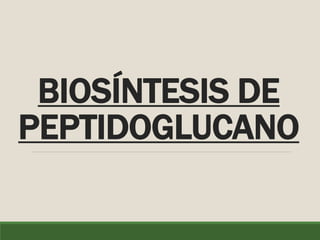 BIOSÍNTESIS DE
PEPTIDOGLUCANO
 