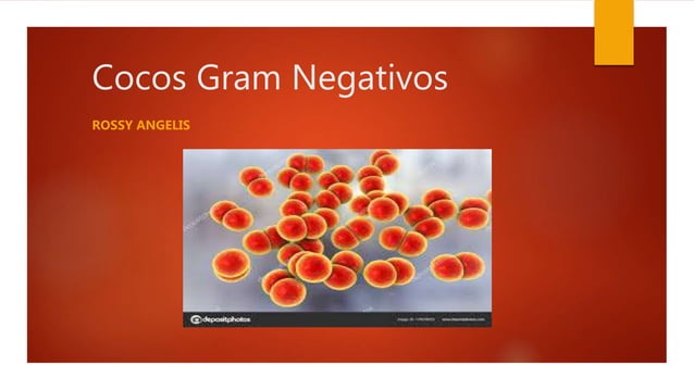 Cocos Gram Negativos PPTX cocos-gram-negativos-pptx