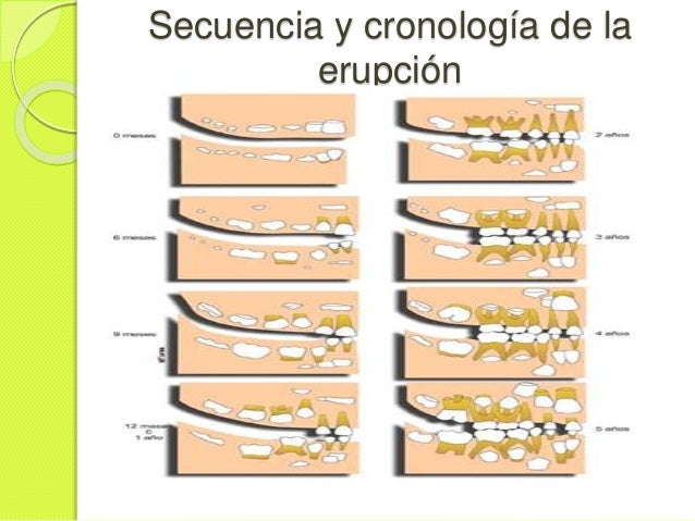 Pueden estar enfermos de la garganta los riñones