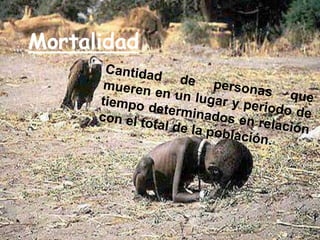 Mortalidad
 