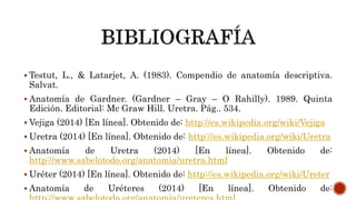  Testut, L., & Latarjet, A. (1983). Compendio de anatomía descriptiva.
Salvat.
 Anatomía de Gardner. (Gardner – Gray – O Rahilly). 1989. Quinta
Edición. Editorial: Mc Graw Hill. Uretra. Pág.. 534.
 Vejiga (2014) [En línea]. Obtenido de: http://es.wikipedia.org/wiki/Vejiga
 Uretra (2014) [En línea]. Obtenido de: http://es.wikipedia.org/wiki/Uretra
 Anatomía de Uretra (2014) [En línea]. Obtenido de:
http://www.sabelotodo.org/anatomia/uretra.html
 Uréter (2014) [En línea]. Obtenido de: http://es.wikipedia.org/wiki/Ureter
 Anatomía de Uréteres (2014) [En línea]. Obtenido de:
 