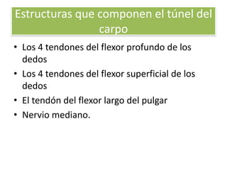 Estructuras que componen el túnel del
                carpo
• Los 4 tendones del flexor profundo de los
  dedos
• Los 4 tendones del flexor superficial de los
  dedos
• El tendón del flexor largo del pulgar
• Nervio mediano.
 
