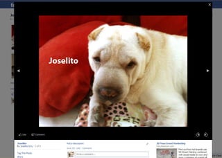 Facebook Marketing - ExpOn 2011 - @alineideias