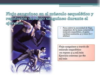 Medias de compresión en ciclistas y hemodinámica de recuperación