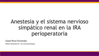 Facultad de Medicina
Anestesia y el sistema nervioso
simpático renal en la IRA
perioperatoria
Cesar Ricra Fernandez
Medico Residente de 1 año de Anestesiología
 