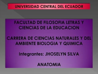 UNIVERSIDAD CENTRAL DEL ECUADOR
FACULTAD DE FILOSOFIA LETRAS Y
CIENCIAS DE LA EDUCACION
CARRERA DE CIENCIAS NATURALES Y DEL
AMBIENTE BIOLOGIA Y QUIMICA
Integrantes: JHOSELYN SILVA
ANATOMIA
 