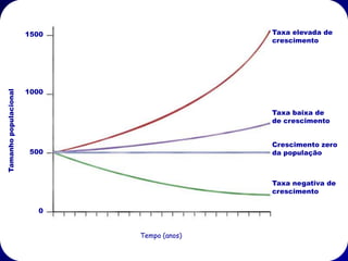 1500                                            Taxa elevada de
                                                                       crescimento




                       1000
Tamanho populacional




                                                                       Taxa baixa de
                                                                       de crescimento


                                                                       Crescimento zero
                        500                                            da população
                                                          r=0


                                                                       Taxa negativa de
                                                                       crescimento
                                                          r = -0.05
                         0
                              0   5       10         15               20
                                      Tempo (anos)
 