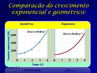 Comparação do crescimento
             exponencial e geométrico:

                           Geométrico          Exponencial
Tamanho populacional (N)




                                   Tempo (t)
Tempo (t )
 