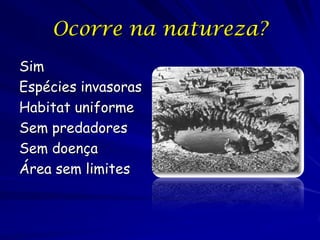 Ocorre na natureza?
Sim
Espécies invasoras
Habitat uniforme
Sem predadores
Sem doença
Área sem limites
 