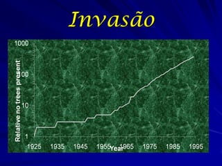 Invasão
 