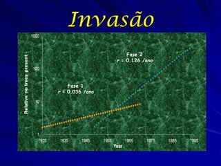 Invasão
                     Fase 2
                 r = 0.126 /ano



    Fase 1
r = 0.036 /ano
 