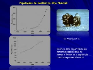 Populações de muskox na Ilha Nunivak




                                  (de Akcakaya et al.)




                            Gráfico semi-logaritmico do
                            tamanho populacional no
                            tempo é linear se a população
                            cresce exponencialmente
 