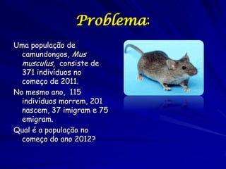 Problema:
Uma população de
  camundongos, Mus
  musculus, consiste de
  371 indivíduos no
  começo de 2011.
No mesmo ano, 115
  indivíduos morrem, 201
  nascem, 37 imigram e 75
  emigram.
Qual é a população no
  começo do ano 2012?
 