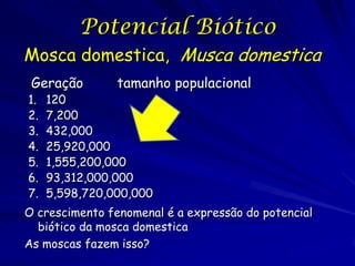 Potencial Biótico
Mosca domestica, Musca domestica
 Geração        tamanho populacional
1.   120
2.   7,200
3.   432,000
4.   25,920,000
5.   1,555,200,000
6.   93,312,000,000
7.   5,598,720,000,000
O crescimento fenomenal é a expressão do potencial
  biótico da mosca domestica
As moscas fazem isso?
 