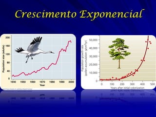Crescimento Exponencial
 
