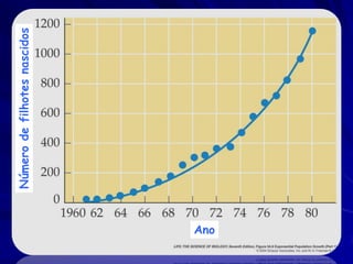 Número de filhotes nascidos




Ano
 