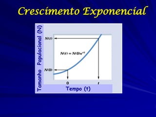 Crescimento Exponencial

   Tamanho Populacional (N)




                              Tempo (t)
 