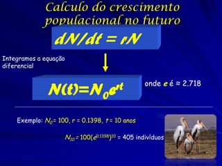 Calculo do crescimento
             populacional no futuro
                 dN/dt = rN
Integramos a equação
diferencial

                                                 onde e é ≈ 2.718
              N(t)=N0               ert

    Exemplo: N0 = 100, r = 0.1398, t = 10 anos

                    N10 = 100(e0.1398)10 = 405 indivíduos
 