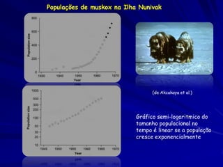 Populações de muskox na Ilha Nunivak




                                  (de Akcakaya et al.)




                      ...