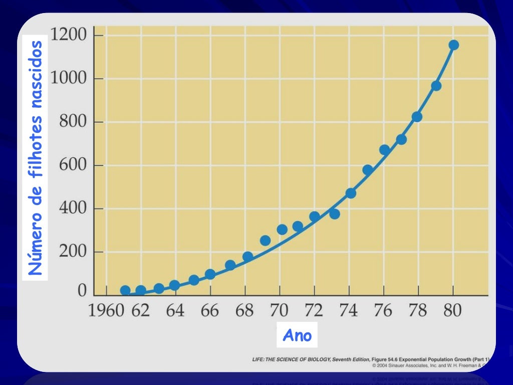 Crescimento exponencial Crescimento exponencial