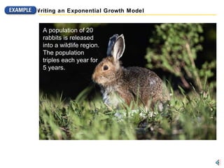 A population of 20 rabbits is released into a wildlife region. The population triples each year for  5 years. Writing an Exponential Growth Model 