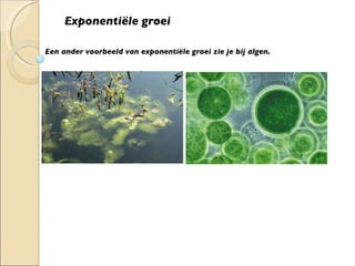 Exponentiële groei Een ander voorbeeld van exponentiële groei zie je bij algen. 