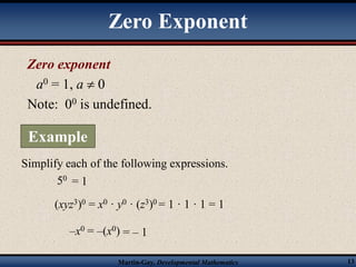 Exponents and Polynomials | PDF