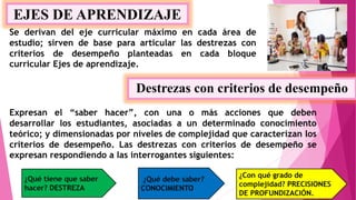 EJES DE APRENDIZAJE
Se derivan del eje curricular máximo en cada área de
estudio; sirven de base para articular las destrezas con
criterios de desempeño planteadas en cada bloque
curricular Ejes de aprendizaje.
Destrezas con criterios de desempeño
Expresan el “saber hacer”, con una o más acciones que deben
desarrollar los estudiantes, asociadas a un determinado conocimiento
teórico; y dimensionadas por niveles de complejidad que caracterizan los
criterios de desempeño. Las destrezas con criterios de desempeño se
expresan respondiendo a las interrogantes siguientes:
 