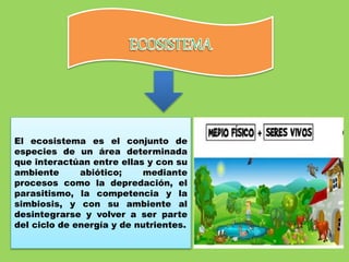 El ecosistema es el conjunto de
especies de un área determinada
que interactúan entre ellas y con su
ambiente abiótico; mediante
procesos como la depredación, el
parasitismo, la competencia y la
simbiosis, y con su ambiente al
desintegrarse y volver a ser parte
del ciclo de energía y de nutrientes.
 