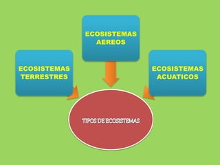 ECOSISTEMAS
TERRESTRES
ECOSISTEMAS
AEREOS
ECOSISTEMAS
ACUATICOS
 