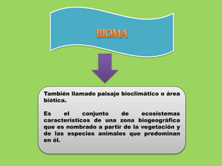 También llamado paisaje bioclimático o área
biótica.
Es el conjunto de ecosistemas
característicos de una zona biogeogràfica
que es nombrado a partir de la vegetación y
de las especies animales que predominan
en él.
 