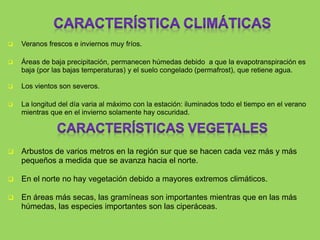  Veranos frescos e inviernos muy fríos.
 Áreas de baja precipitación, permanecen húmedas debido a que la evapotranspiración es
baja (por las bajas temperaturas) y el suelo congelado (permafrost), que retiene agua.
 Los vientos son severos.
 La longitud del día varia al máximo con la estación: iluminados todo el tiempo en el verano
mientras que en el invierno solamente hay oscuridad.
 Arbustos de varios metros en la región sur que se hacen cada vez más y más
pequeños a medida que se avanza hacia el norte.
 En el norte no hay vegetación debido a mayores extremos climáticos.
 En áreas más secas, las gramíneas son importantes mientras que en las más
húmedas, las especies importantes son las ciperáceas.
 