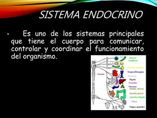 SISTEMA ENDOCRINO
• Es uno de los sistemas principales
que tiene el cuerpo para comunicar,
controlar y coordinar el funcionamiento
del organismo.
 