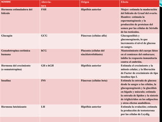 NOMBRE Abrevia-
tura
Origen Efecto
Hormona estimuladora del
folículo
FSH Hipófisis anterior Mujer: estimula la maduración
del folículo de Graaf del ovario.
Hombre: estimula la
espermatogénesis y la
producción de proteínas del
semen por las células de Sértolis
de los testículos.
Glucagón GCG Páncreas (células alfa) Glucogenólisis y
gluconeogénesis, lo que
incrementa el nivel de glucosa
en sangre.
Gonadotropina coriónica
humana
hCG Placenta (células del
sincitiotrofoblasto)
Mantenimiento del cuerpo lúteo
en el comienzo del embarazo;
inhibe la respuesta inmunitaria
contra el embrión.
Hormona del crecimiento
(o somatotropina)
GH o hGH Hipófisis anterior Estimula el crecimiento y la
mitosis celular, y la liberación
de Factor de crecimiento de tipo
insulina tipo I.
Insulina INS Páncreas (células beta) Estimula la entrada de glucosa
desde la sangre a las células, la
glucogenogénesis y la glucólisis
en hígado y músculo; estimula
la entrada de lípidos y la síntesis
de triglicéridos en los adipocitos
y otros efectos anabólicos.
Hormona luteinizante LH Hipófisis anterior Estimula la ovulación; estimula
la producción de testosterona
por las células de Leydig.
 