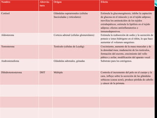 Nombre Abrevia-
tura
Origen Efecto
Cortisol Glándulas suprarrenales (células
fasciculadas y reticulares)
Estimula la gluconeogénesis; inhibe la captación
de glucosa en el músculo y en el tejido adiposo;
moviliza los aminoácidos de los tejidos
extrahepáticos; estimula la lipólisis en el tejido
adiposo; efectos antiinflamatorios e
inmunodepresivos.
Aldosterona Corteza adrenal (células glomerulares) Estimula la reabsorción de sodio y la secreción de
potasio e iones hidrógeno en el riñón, lo que hace
aumentar el volumen sanguíneo.
Testosterona Testículo (células de Leydig) Crecimiento, aumento de la masa muscular y de
la densidad ósea; maduración de los testículos,
formación del escroto, crecimiento del vello
púbico y axilar, modificación del aparato vocal
Androstenediona Glándulas adrenales, gónadas Substrato para los estrógenos.
Dihidrotestosterona DHT Múltiple Controla el incremento del pelo en el cuerpo y la
cara, influye sobre la secreción de las glándulas
sebáceas (causa acné), produce pérdida de cabello
y cáncer de la próstata.
 