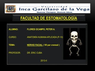 FACULTAD DE ESTOMATOLOGÍA 
ALUMNO: FLORES OCAMPO, PETER A. 
CURSO: ANATOMÍA HUMANA APLICADA (P-10) 
TEMA: NERVIO FACIAL ( VII par craneal ) 
PROFESOR: DR. ERIC CUBA 
2013-II 
 