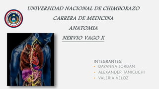 UNIVERSIDAD NACIONAL DE CHIMBORAZO
CARRERA DE MEDICINA
ANATOMIA
NERVIO VAGO X
INTEGRANTES:
• DAYANNA JORDAN
• ALEXANDER TANICUCHI
• VALERIA VELOZ
 