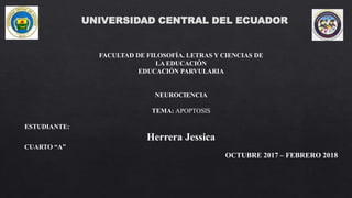 UNIVERSIDAD CENTRAL DEL ECUADOR
FACULTAD DE FILOSOFÍA. LETRAS Y CIENCIAS DE
LA EDUCACIÓN
EDUCACIÓN PARVULARIA
NEUROCIENCIA
TEMA: APOPTOSIS
ESTUDIANTE:
Herrera Jessica
CUARTO “A”
OCTUBRE 2017 – FEBRERO 2018
 
