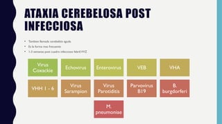 ATAXIA CEREBELOSA POST
INFECCIOSA
• Tambien llamada cerebelitis aguda
• Es la forma mas frecuente
• 1-3 semanas post cuadro infeccioso febril:VVZ
Virus
Coxackie
Echovirus Enterovirus VEB VHA
VHH 1 - 6
Virus
Sarampion
Virus
Parotiditis
Parvovirus
B19
B.
burgdorferi
M.
pneumoniae
 