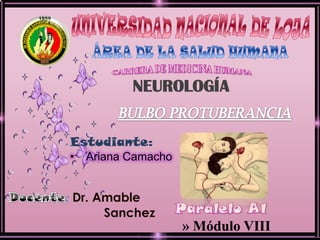 : Dr. Amable
Sanchez
» Módulo VIII
NEUROLOGÍA
Estudiante:
• Ariana Camacho
 
