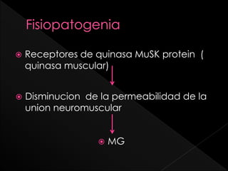 

Receptores de quinasa MuSK protein (
quinasa muscular)



Disminucion de la permeabilidad de la
union neuromuscular



MG

 