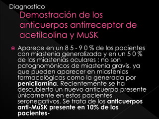 Diagnostico



Aparece en un 8 5 - 9 0 % de los pacientes
con miastenia generalizada y en un 5 0 %
de las miastenias oculares ; no son
patognomónicos de miastenia gravis, ya
que pueden aparecer en miastenias
farmacológicas como la generada por
penicilamina. Recientemente se ha
descubierto un nuevo anticuerpo presente
únicamente en estos pacientes
seronegativos. Se trata de los anticuerpos
anti-MuSK presente en 10% de los
pacientes-

 