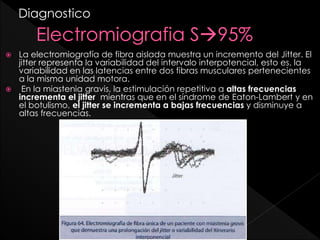 Diagnostico
La electromiografía de fibra aislada muestra un incremento del Jitter. El
jitter representa la variabilidad del intervalo interpotencial, esto es, la
variabilidad en las latencias entre dos fibras musculares pertenecientes
a la misma unidad motora.
 En la miastenia gravis, la estimulación repetitiva a altas frecuencias
incrementa el jitter mientras que en el síndrome de Eaton-Lambert y en
el botulismo, el jitter se incrementa a bajas frecuencias y disminuye a
altas frecuencias.


 
